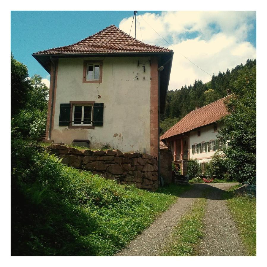 La Demeure Des Forges Apartment Grandfontaine  Exterior foto