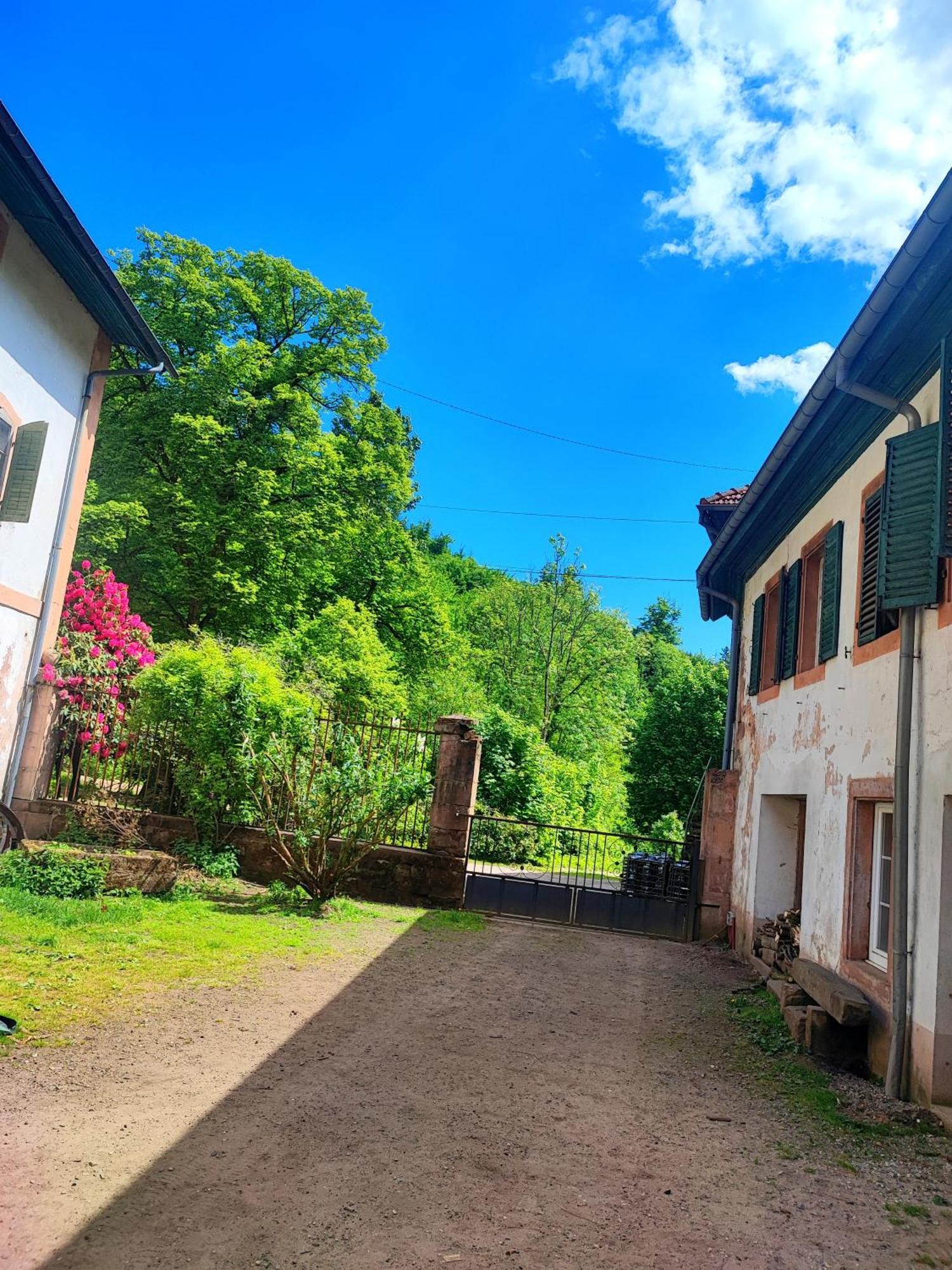 La Demeure Des Forges Apartment Grandfontaine  Exterior foto
