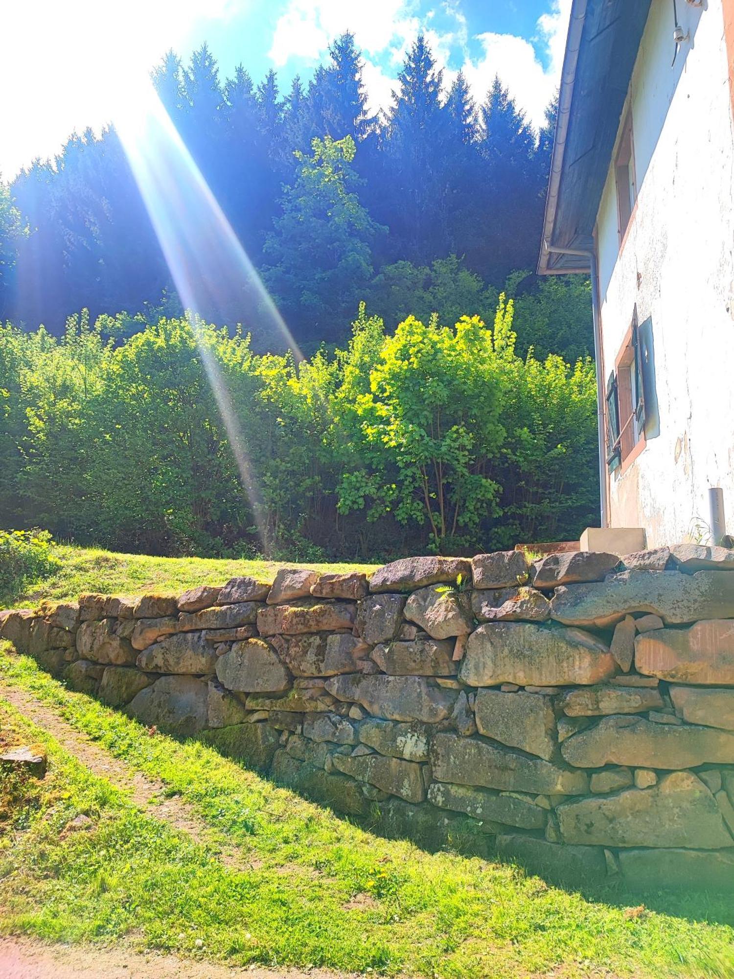 La Demeure Des Forges Apartment Grandfontaine  Exterior foto